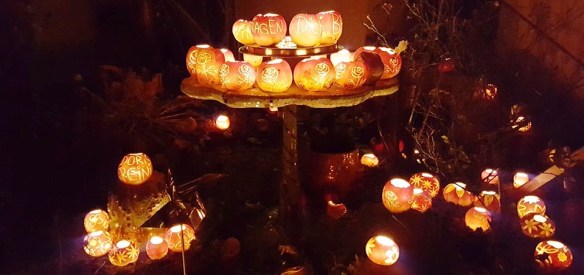 11221583_10208363121779928_8694954768234500211_n