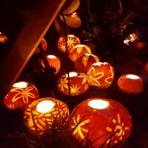 12249829_10208363121179913_6523096771352079468_n