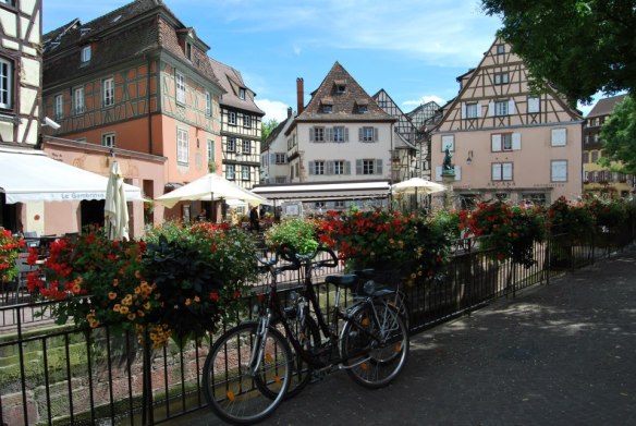 555603_4531478249307_619418472_n